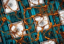 Samsung Electronics presenta una visión para "copiar y pegar" el cerebro en chips neuromórficos