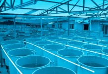 Todo listo para el seminario internacional de innovación acuícola en América