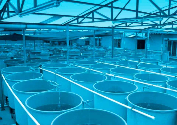 Todo listo para el seminario internacional de innovación acuícola en América