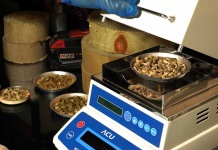 Apuestan por la producción sostenible de combustibles derivados de la madera