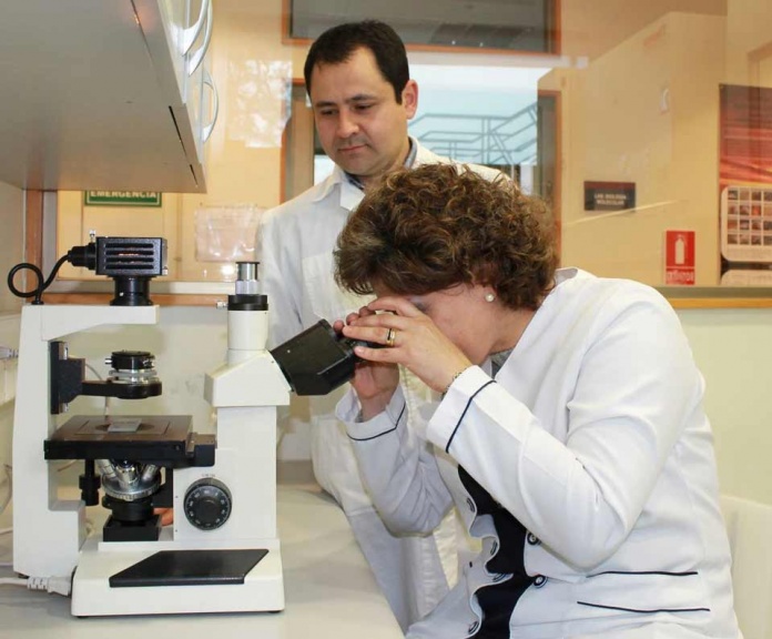 Científicos chilenos avanzan en la generación de carne cultivada en laboratorios