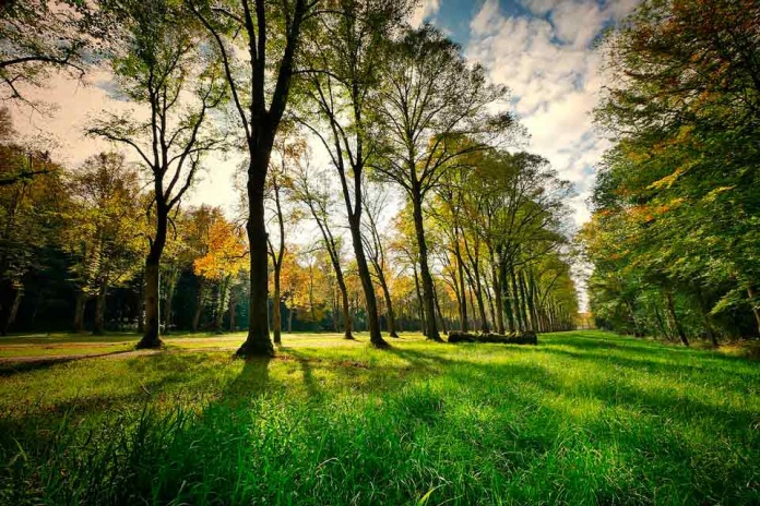 Desafío Parques Nacionales