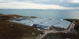 Gasco Magallanes implementa innovadora solución energética en la piscicultura Tierra del Fuego del grupo Nova Austral