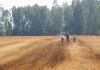 Innovación chilena permite convertir desechos en fertilizantes en menos de 1 hora