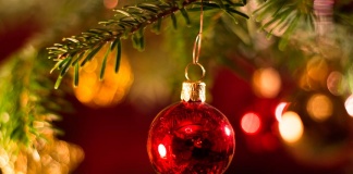 Con foco sustentable: 5 tendencias en decoración navideña 2021