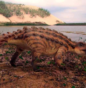 Descubren una nueva especie de dinosaurio acorazado en la Patagonia chilena con una extraña arma en su cola 