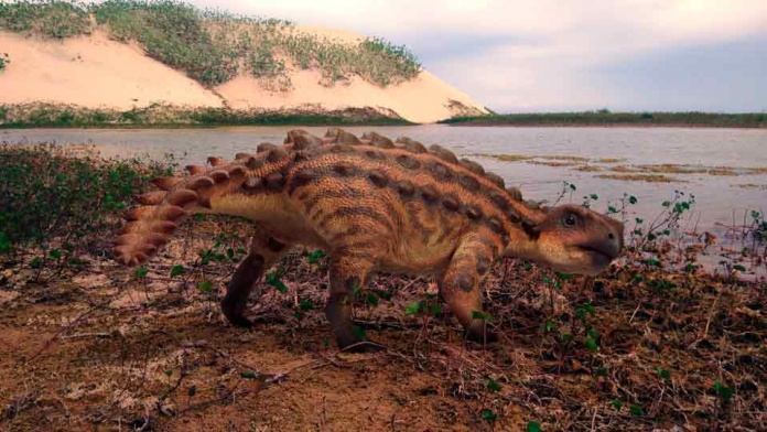 Descubren una nueva especie de dinosaurio acorazado en la Patagonia chilena con una extraña arma en su cola 