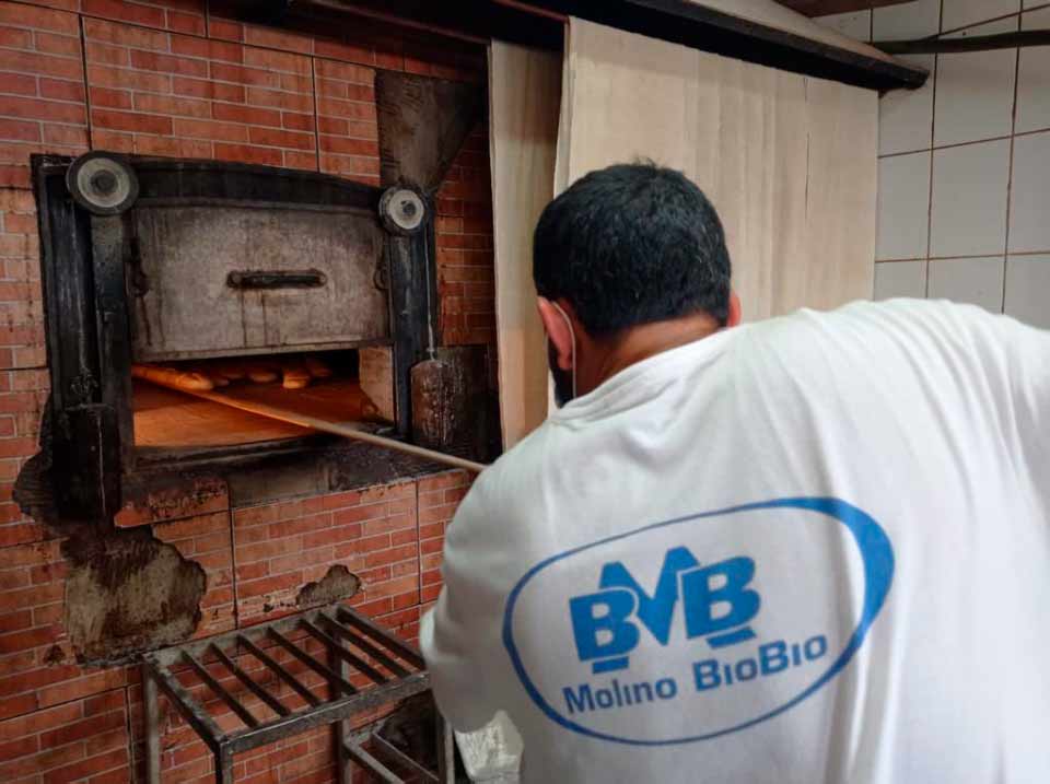 Médula moneda servilleta Filtro electrostático permitirá a panaderías de barrio mantener hornos a  leña con respeto al medioambiente - Portal Innova
