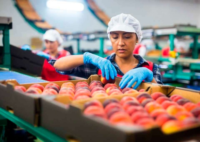 Mujeres, personas mayores de 55 años y trabajadores del agro entre los más impactados en sus cotizaciones