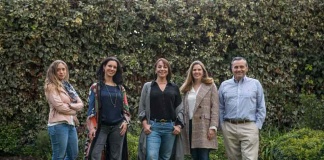 Talleres Gratuitos: ChileConverge abre inscripciones para potenciar negocios Mipymes