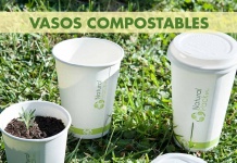 Del delivery a la tierra: Vasos compostables pueden convertirse en tu próximo huerto