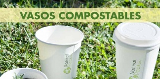 Del delivery a la tierra: Vasos compostables pueden convertirse en tu próximo huerto