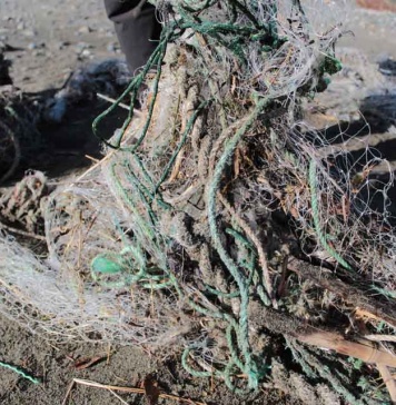 Diálogo multisectorial en Chile contribuirá a futuro tratado internacional de residuos marinos plásticos de la ONU
