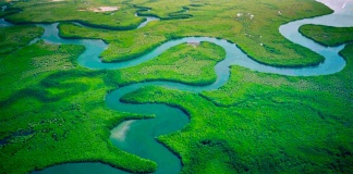 Socios de Vertiv con consorcio tecnológico liderarán la implementación de celdas de combustible bajas en carbono para centros de datos