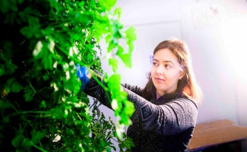 Vertiv se suma al programa de asociados RISE para desarrollar tecnologías sostenibles para centros de datos