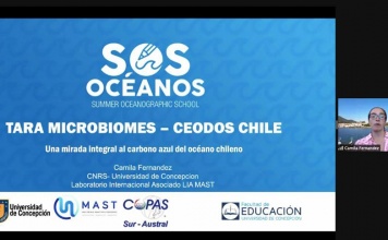 Cambio climático, el océano y nuevas estrategias de divulgación marcaron la versión 2022 de la iniciativa S.O.S. Océanos de COPAS Sur-Austral – #COPASCoastal Cambio climático, el océano y nuevas estrategias de divulgación marcaron la versión 2022 de la iniciativa S.O.S. Océanos de COPAS Sur-Austral - #COPASCoastal