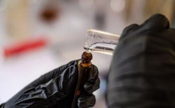 Con principios activos de plantas chilenas equipo multidisciplinario promueve bienestar de las personas