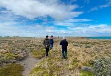 Arcadis apoya la generación de hidrogeno verde en Tierra del Fuego