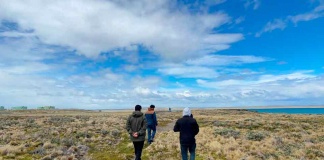 Arcadis apoya la generación de hidrogeno verde en Tierra del Fuego