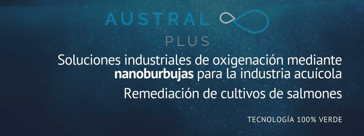 nanoburbujas para la industria acuícola austral plus