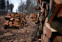 ALTOS NIVELES DE CONTAMINACIÓN CAUSADOS POR LA LEÑA CALEFACCIÓN ELÉCTRICA
