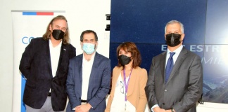 Comité de Hidrógeno Verde para desarrollar una industria nacional