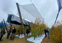 Día de Campo mostró quehacer en ámbito frutícola, hortícola y vitivinícola de Agronomía UdeC