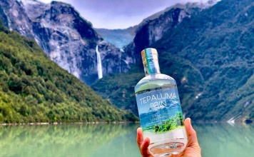 Gin producido en la Patagonia de Aysén obtiene Medalla de Oro en concurso internacional