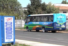 Taxibuses refabricados a eléctricos llegan por primera vez a la vía pública
