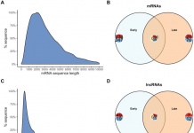 el rol de los ARNs no codificantes en la regulación de la expresión de genes asociados a procesos infectivos en salmón del Atlántico 1