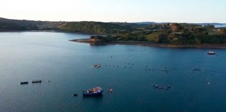 Centro INCAR lanza agenda especial de actividades para conmemorar el Mes del Mar