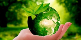 Día Mundial del Medio Ambiente: ¿Cómo hacer las paces con la naturaleza?