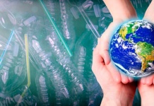 Futuro de los Data Centers: hacia un diseño sustentable