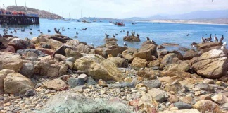 Anualmente en Chile: Más de 290 toneladas de residuos plásticos de la pesca artesanal quedarían en el mar, según un estudio financiado por la Unión Europea