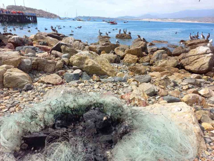 Anualmente en Chile: Más de 290 toneladas de residuos plásticos de la pesca artesanal quedarían en el mar, según un estudio financiado por la Unión Europea