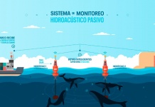 CMP instalará “Boyas Hidroacústicas” para el monitoreo y detección de fauna marina y embarcaciones