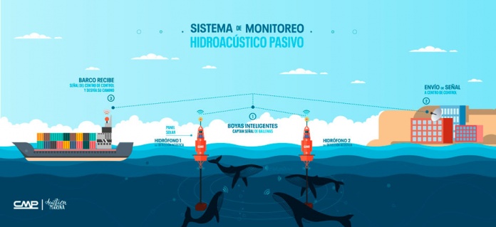 CMP instalará “Boyas Hidroacústicas” para el monitoreo y detección de fauna marina y embarcaciones