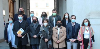 Comité Hidrógeno Verde