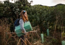 Postulación proyectos medioambientales