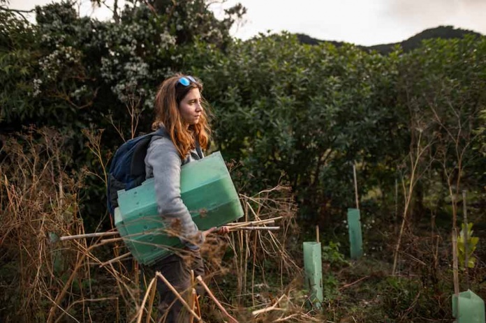 Postulación proyectos medioambientales