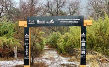 Señaléticas físico-digitales turísmo deportivo en el Valle Las Trancas