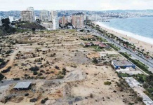 Avanza saneamiento ambiental del paño Las Salinas en Viña del Mar
