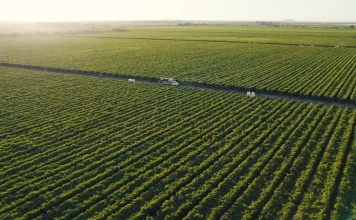 ProducePay, la startup que revolucionará el comercio agrícola marítimo