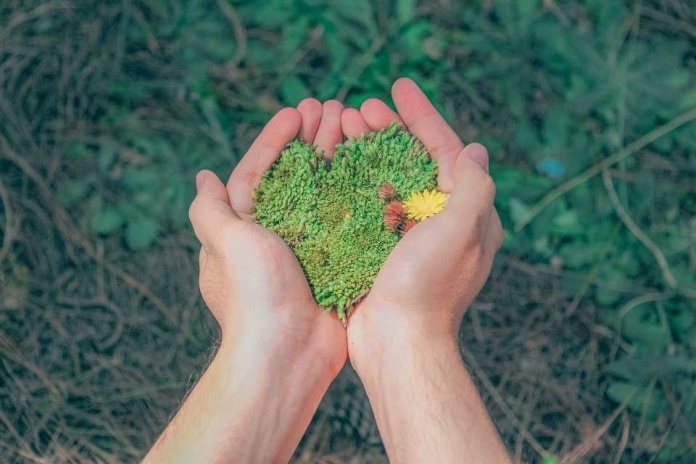 Últimos días para postular a los Premios Verdes, conocidos como los Óscar del ambiente