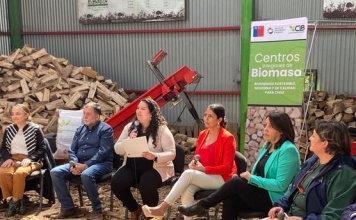 Región del Biobío contará con nuevos Centros Integrales de Biomasa