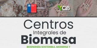 Seremi de Energía invita a taller tutorial para postular a Centros Integrales de Biomasa en Biobío