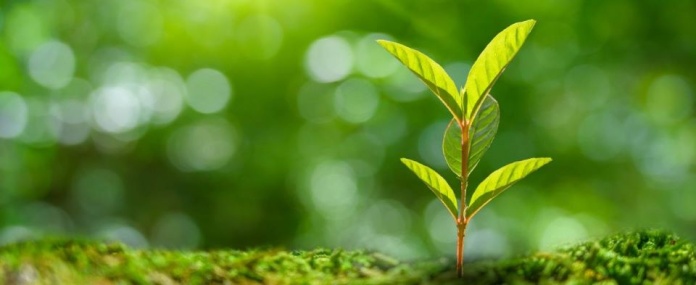 Air Liquide refuerza sus inversiones en startups de impacto, a través de ALIAD