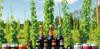 Cervecería Kunstmann es reconocida con 1er lugar en ranking de “Marcas Ciudadanas” de encuesta Cadem