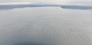 St. Andrews se recertifica con importante sello internacional que garantiza su responsabilidad ambiental y social
