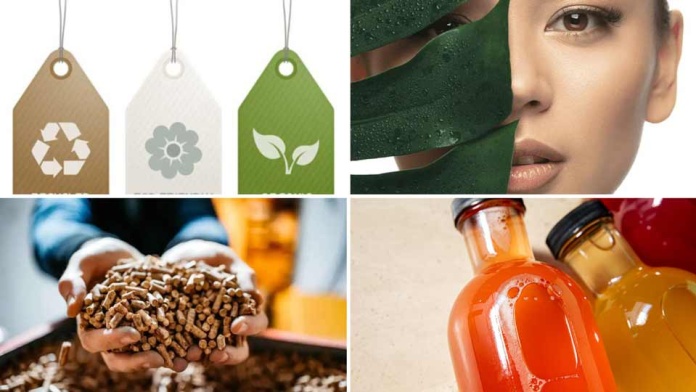 Calefacción por hidrógeno verde, ropa biodegradable y producción de pellet son parte de los proyectos ganadores del de Corfo Aysén